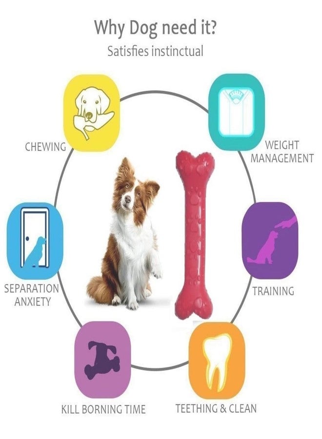 PETLICIOUS & MORE مجموعة ألعاب بيتليشوس آند مور من الحبال والكرات والعضاضات للكلاب والجراء (مجموعة من 6 قطع) D - Image 4